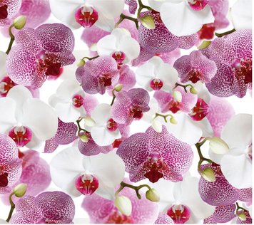 Пакувальний папір (5 листів) "Орхідеї білі та рожеві" (70*100 см) 13976 фото
