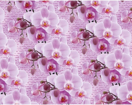 Упаковочная Бумага (5 листов) "Орхидеи на розовом" (70*100 см)
