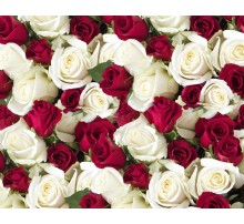 Упаковочная Бумага (5 листов) "Бело-бордовые розы, зеленые листочки" (70*100 см)
