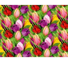 Упаковочная Бумага (5 листов) "Тюльпаны разноцветные" (70*100 см)