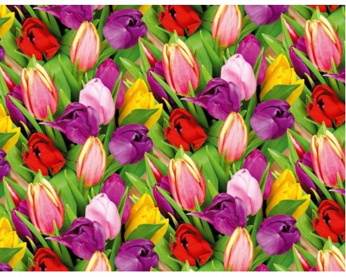 Упаковочная Бумага (5 листов) "Тюльпаны разноцветные" (70*100 см)