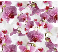 Пакувальний папір (5 листів) "Орхідеї білі та рожеві" (70*100 см)